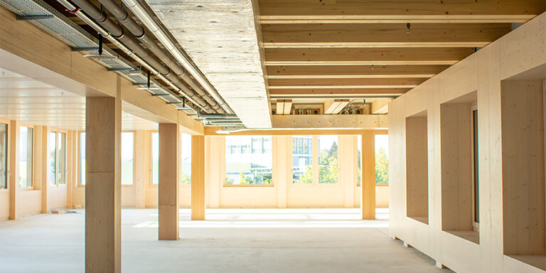 Exposed timber structure in a construction site