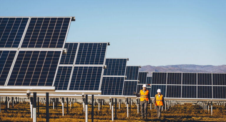 Two construction workers in a field of solar panels